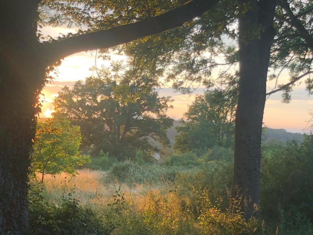 Domaine La Faix, Gite La Forestiere Saint-Plaisir Екстериор снимка