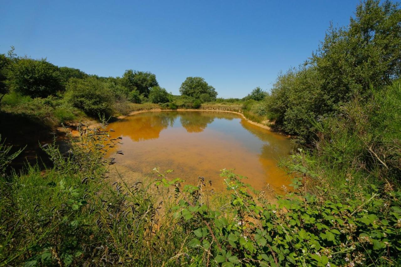 Domaine La Faix, Gite La Forestiere Saint-Plaisir Екстериор снимка